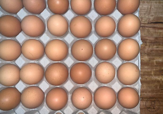 6 Caged Eggs