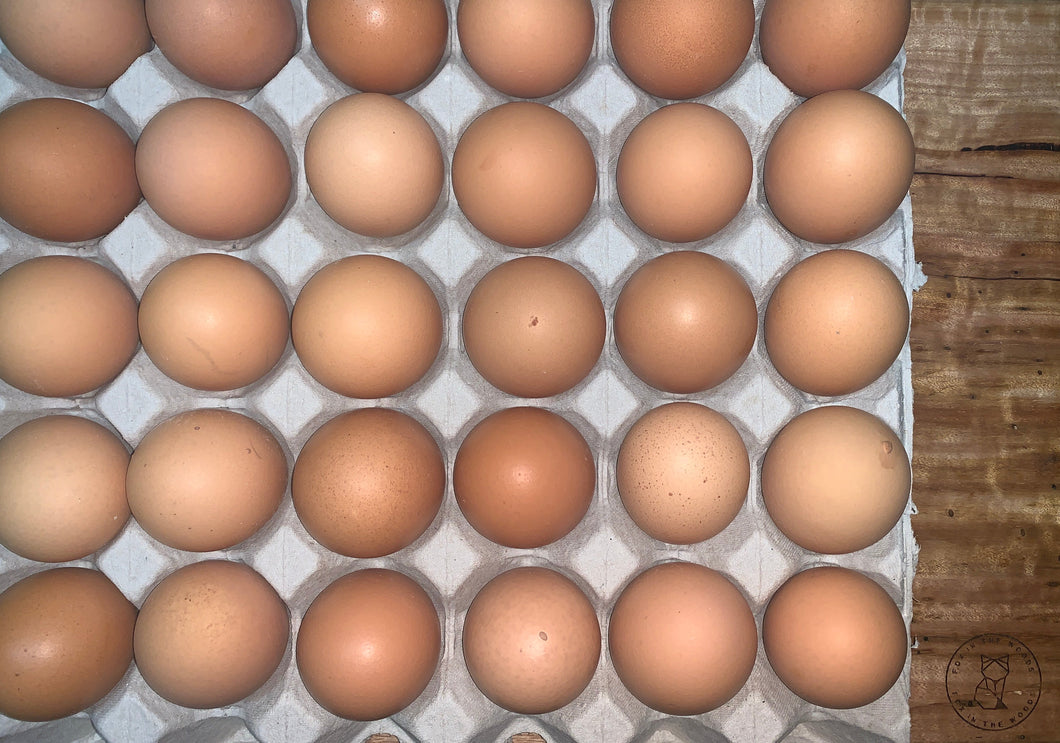 6 Caged Eggs